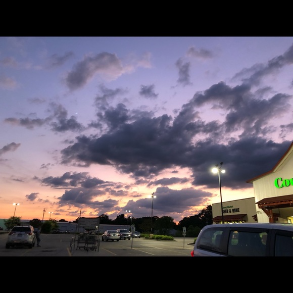 Meet your Posher, Lorelei - Picture 1 of 1